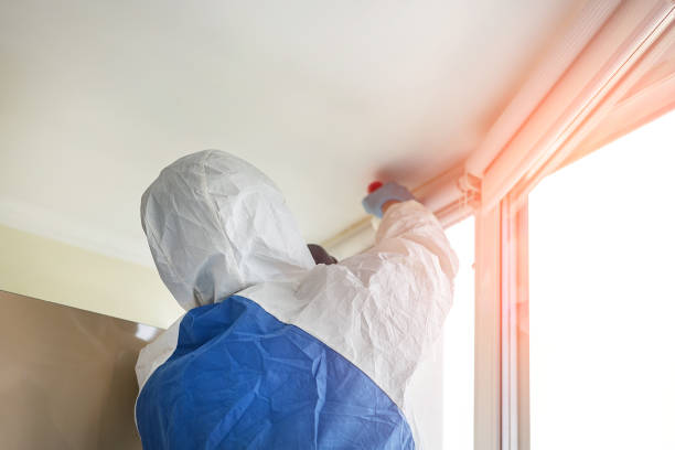 Mold Removal for HVAC Installations in Lionville, PA