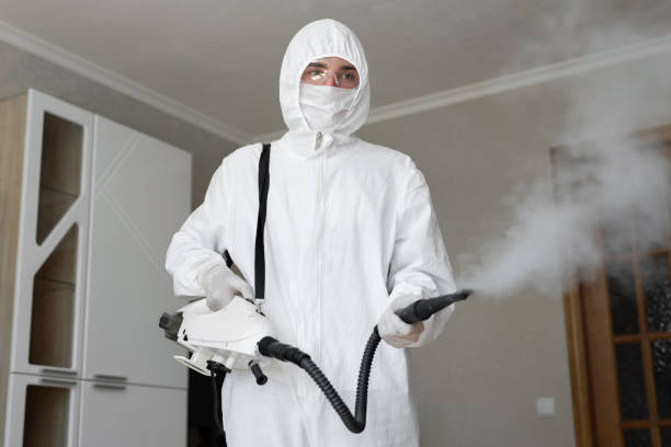 Best Mold Odor Removal Services  in Lionville, PA