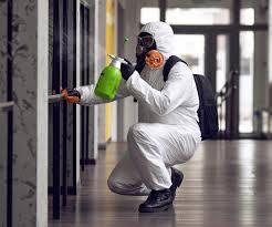 Best Asbestos and Lead Testing During Mold Inspection  in Lionville, PA